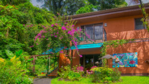 Lucky Bug Bed and Breakfast in Costa Rica, surrounded by lush tropical greenery with a cozy, colorful lodge offering a tranquil lakeside retreat."If the photo emphasizes a particular detail—like the guest rooms, the lake view, or the vibrant décor—I can refine the alt text to highlight that aspect. Would you like me to make this version more functional for accessibility (short and direct) or more expressive for marketing/social media? 