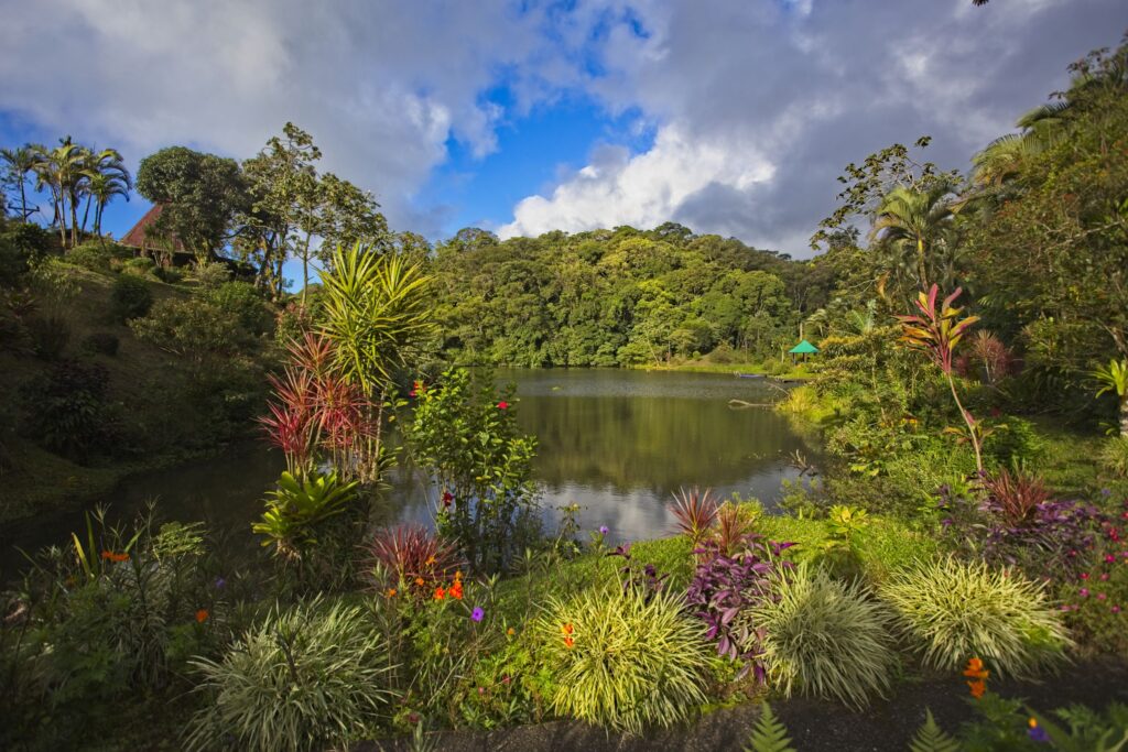 Living the Dream in Costa Rica: A Relocation Lifestyle. Private Lake