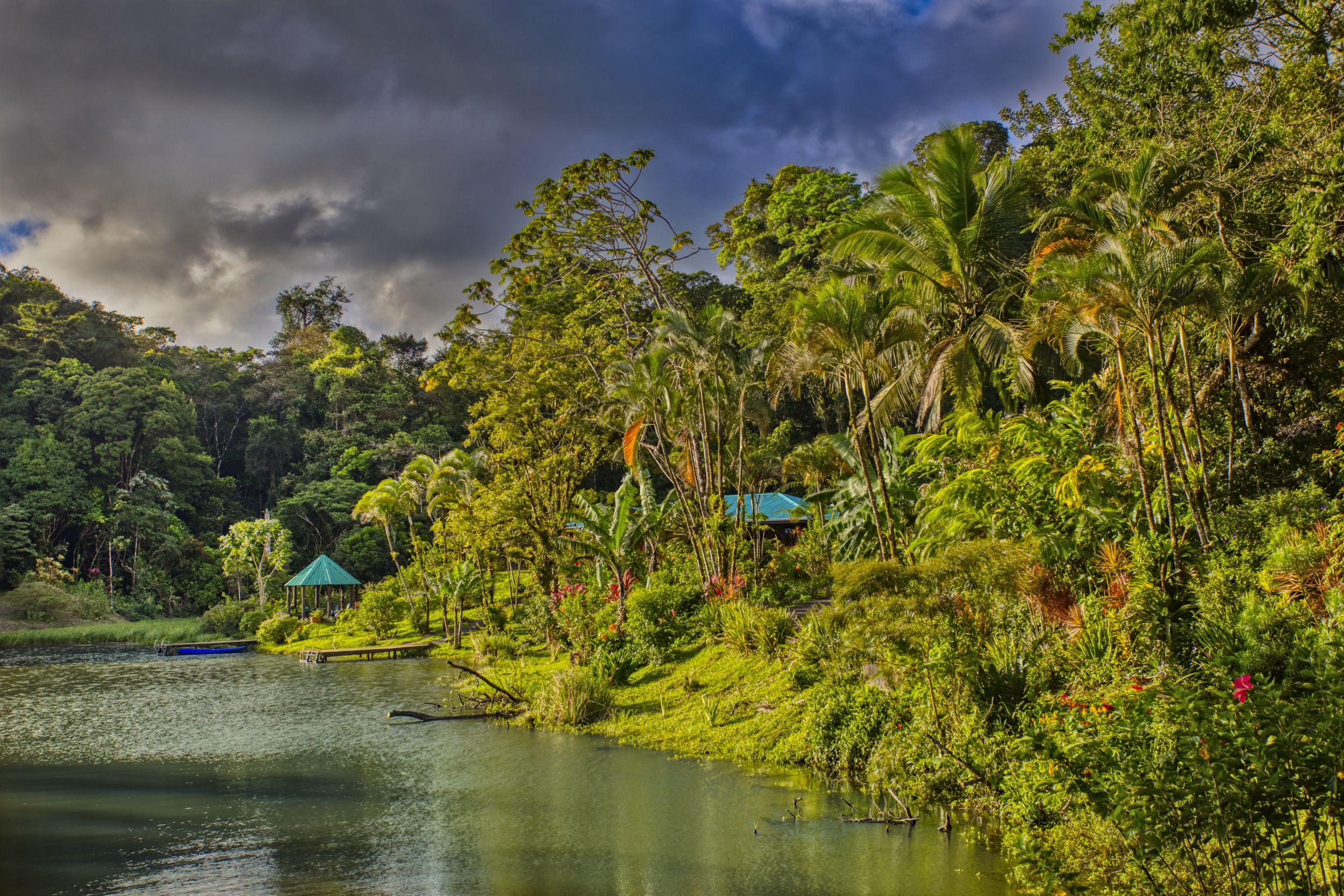 Rainforest canopy at Lake Arenal property Costa Rica, rare ecosystem view